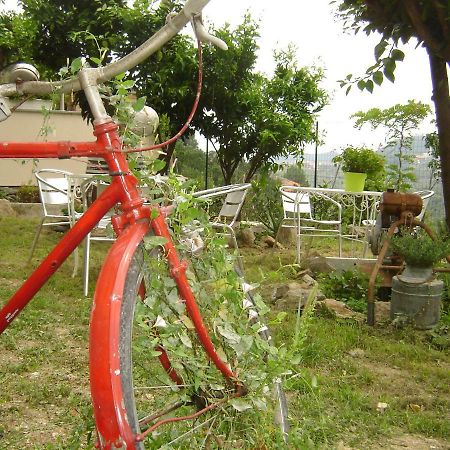 La Dolce Vita B&B Noli Εξωτερικό φωτογραφία