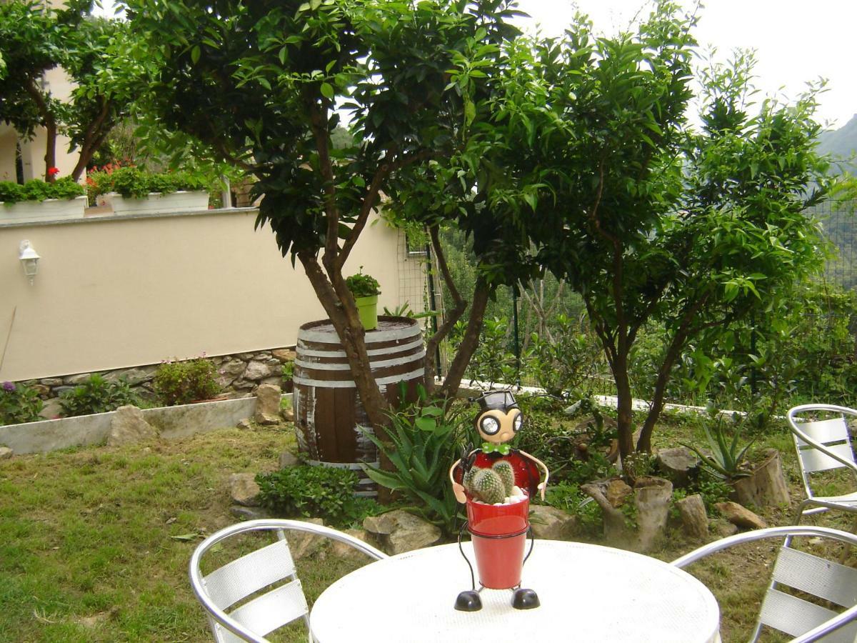 La Dolce Vita B&B Noli Εξωτερικό φωτογραφία