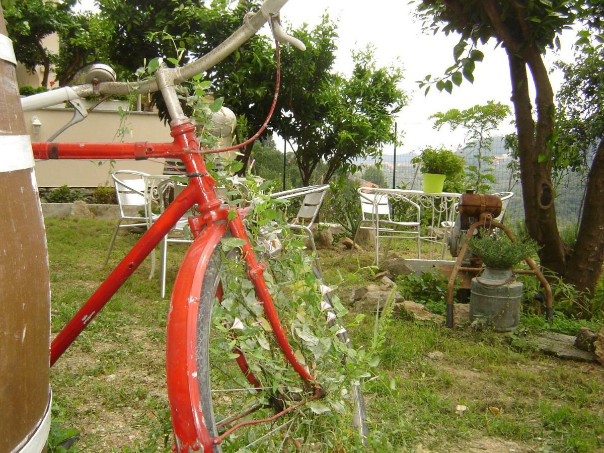 La Dolce Vita B&B Noli Εξωτερικό φωτογραφία