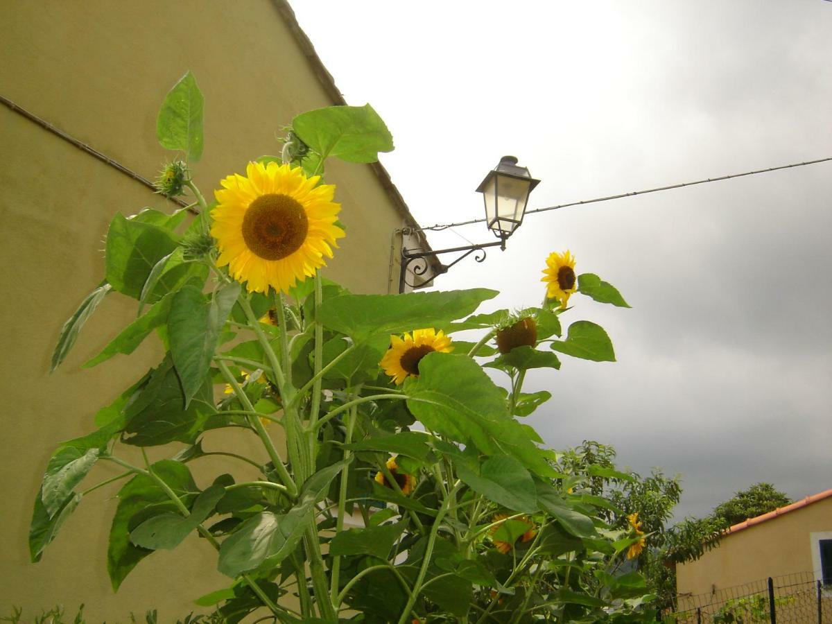 La Dolce Vita B&B Noli Εξωτερικό φωτογραφία