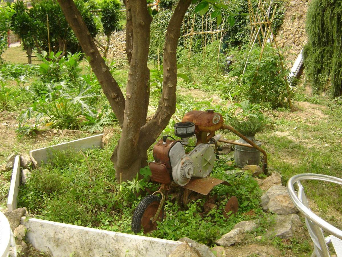 La Dolce Vita B&B Noli Εξωτερικό φωτογραφία